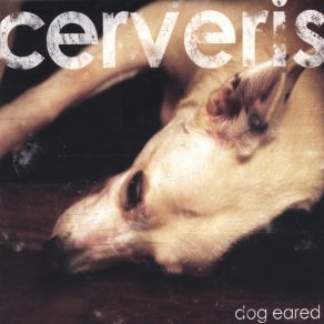 Dog Eared album cover
