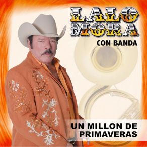 Un Millón De Primaveras album cover