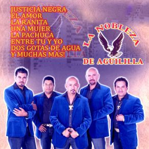 13 Temas album cover