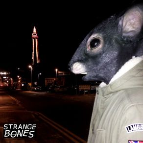 We The Rats album cover