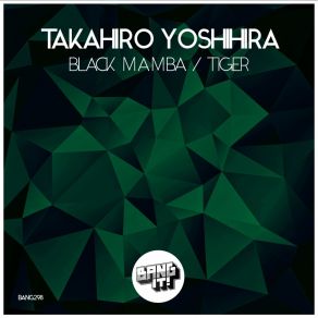 Black Mamba / Tiger album cover