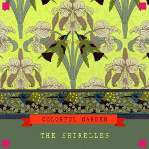 Colorful Garden album cover