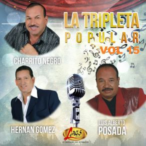 La Tripleta Popular, Vol. 15 album cover