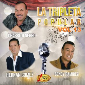La Tripleta Popular, Vol. 13 album cover