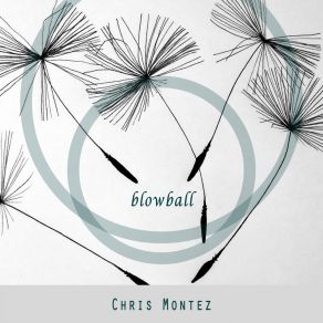 Blowball album cover