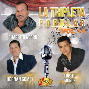 La Tripleta Popular, Vol. 14 album cover