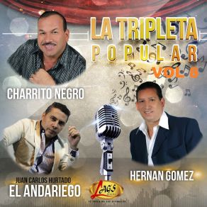La Tripleta Popular, Vol. 8 album cover