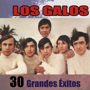 30 Grandes Éxitos album cover