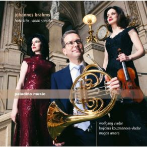 Brahms: Horn Trio & Violin Sonatas album cover