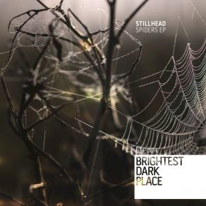 Spiders album cover