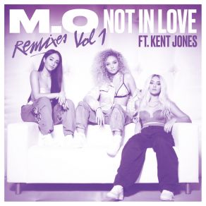 Not In Love (Remixes Vol. 1) album cover
