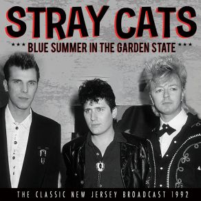 Blue Summer In The Garden State (Live At The Boardwalk, Asbury Park, Nj 1992) album cover