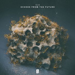 Echoes From The Future album cover