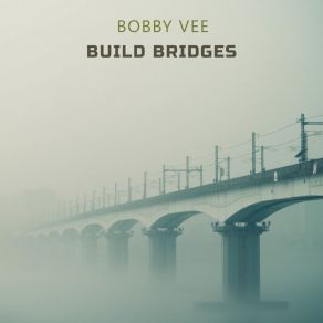 Build Bridges album cover