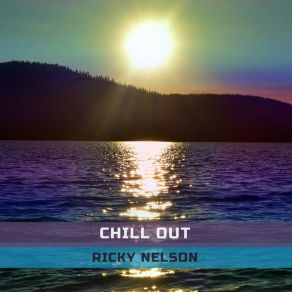 Chill Out album cover