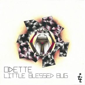 Little Blessed Bug album cover