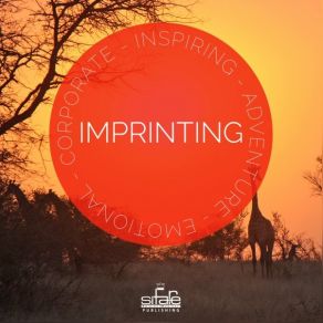 Imprinting album cover