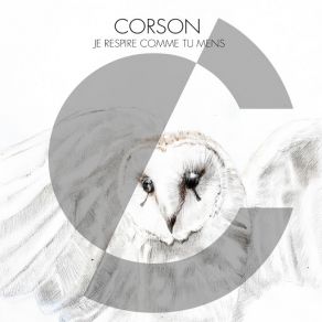 Je Respire Comme Tu Mens (Single) album cover