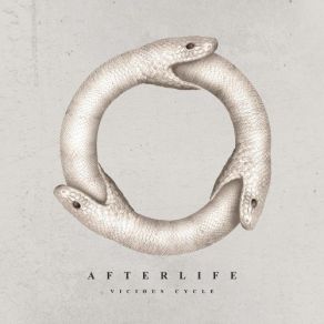 Vicious Cycle album cover