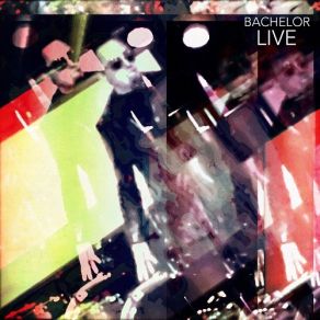 Bachelor Live album cover