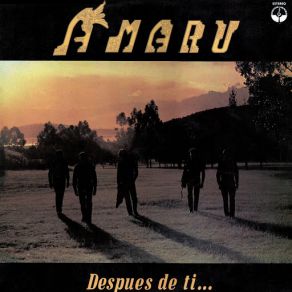 Después De Ti... (Música Andina Boliviana) album cover