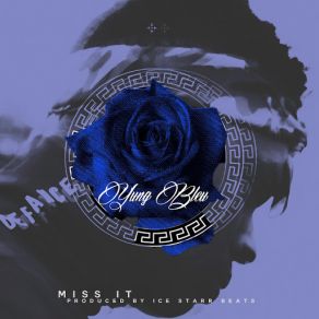 Miss It (Single) album cover
