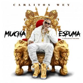 Mucha Espuma (Single) album cover