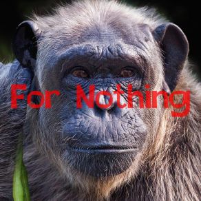 For Nothing album cover