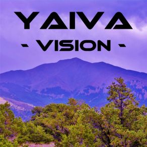 Vision album cover