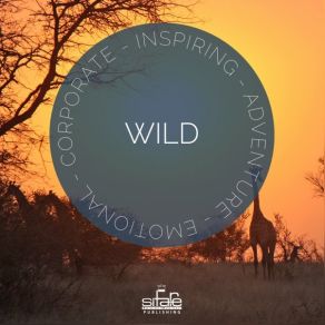 Wild album cover