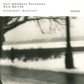 Karl Amadeus Hartmann, Béla Bartók album cover