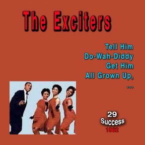 The Exciters (29 Success) (1962) album cover