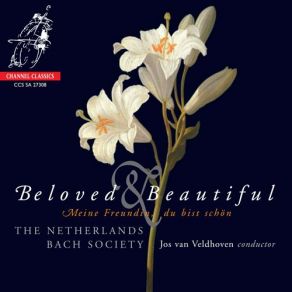 Beloved & Beautiful - Bohm, J. C. Bach, Schutz, & J. S. Bach album cover