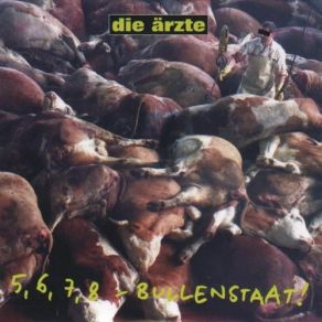5, 6, 7, 8 - Bullenstaat! album cover