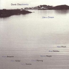 Like A Dream album cover