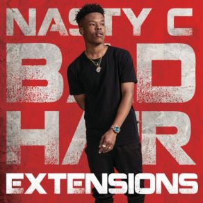 Bad Hair Extensions album cover