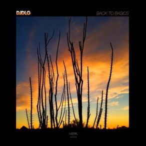 Back To Basics album cover