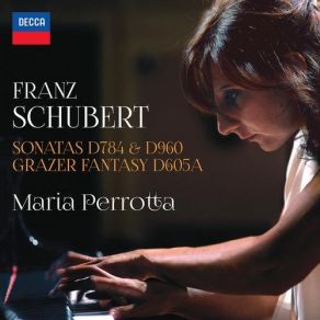 Schubert: Sonatas D784 & 960 - Grazer Fantasy D605A album cover