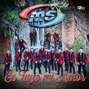Es Tuyo Mi Amor (Single) album cover