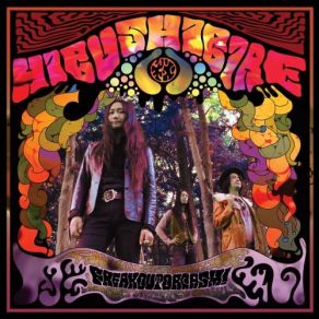Freak Out Orgasm! album cover
