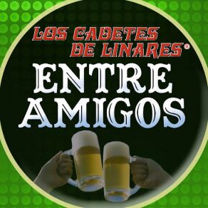Entre Amigos album cover