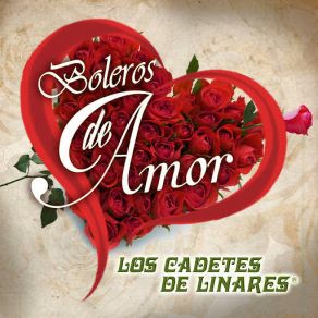 Boleros De Amor album cover
