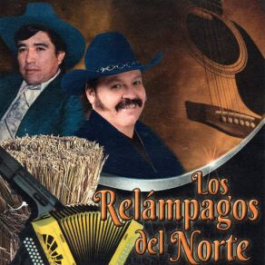 Vuelve Gaviota album cover