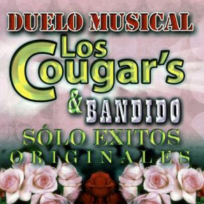Duelo Musical Solo Exitos Originales album cover