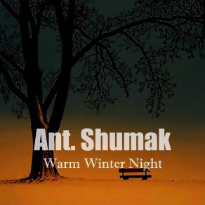 Warm Winter Night album cover