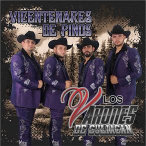 Vicentenares De Pinos album cover