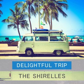 Delightful Trip album cover
