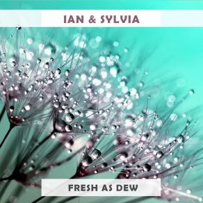 Fresh As Dew album cover