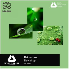 Dew Drop album cover