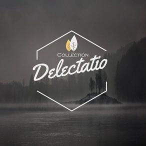 2016 Collection album cover